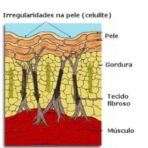 imagem do Google