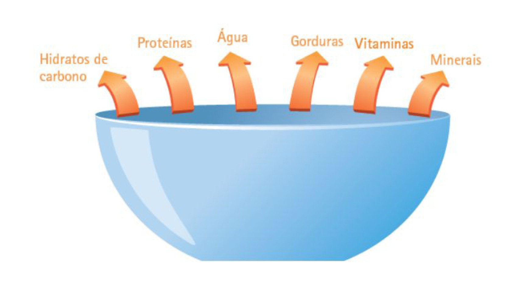 imagem do Google