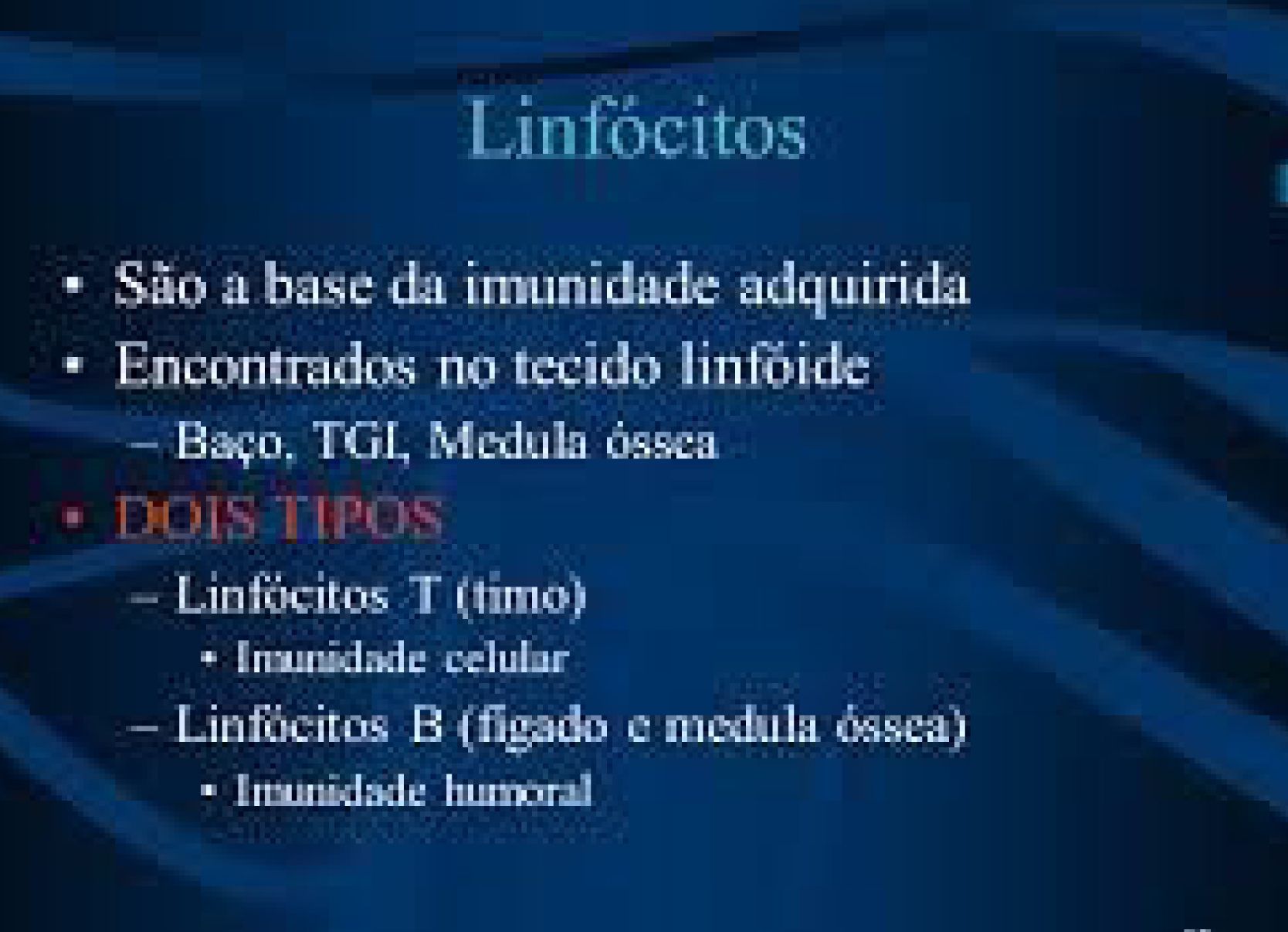 imagem do Google