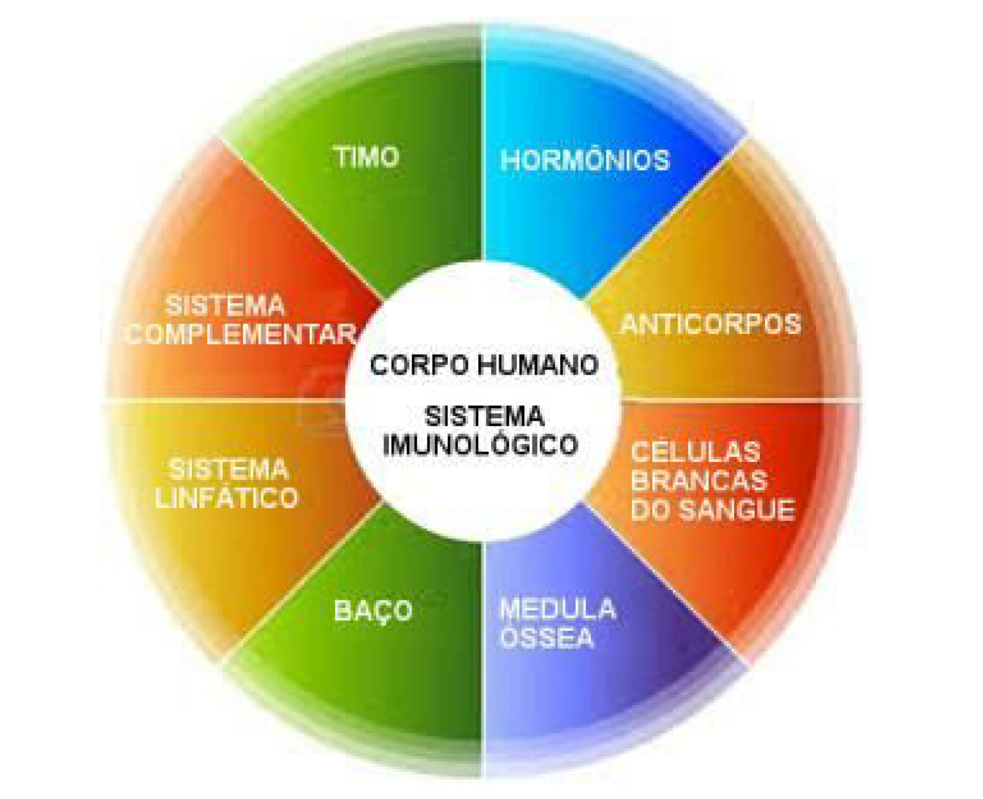 imagem do Google