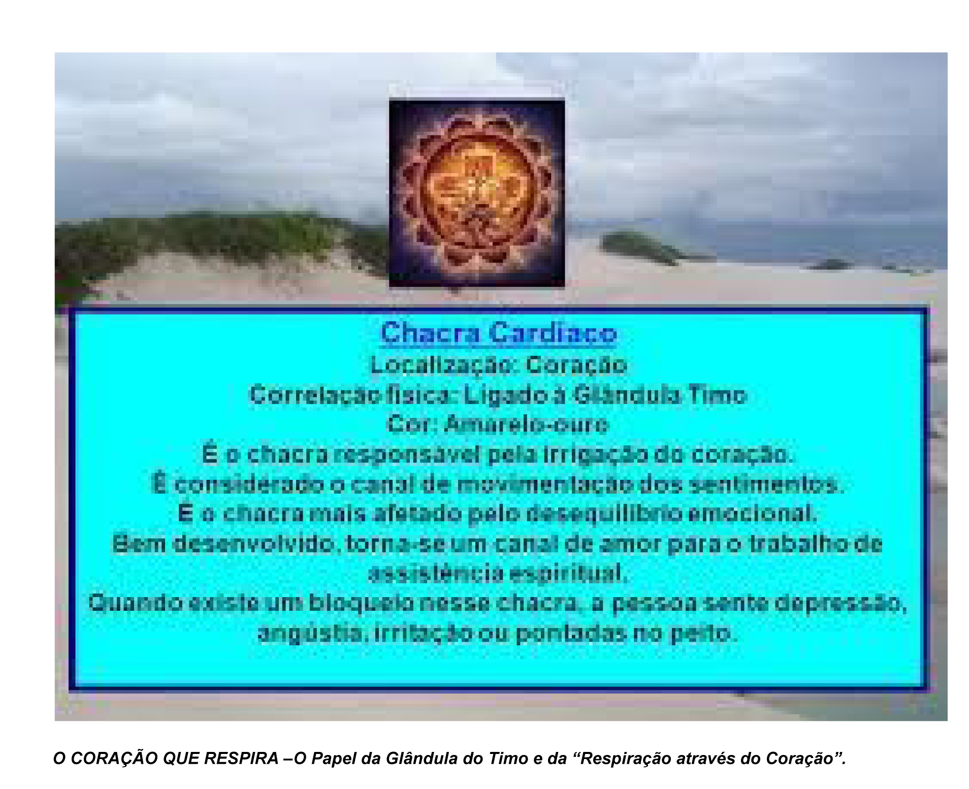 imagem do Google