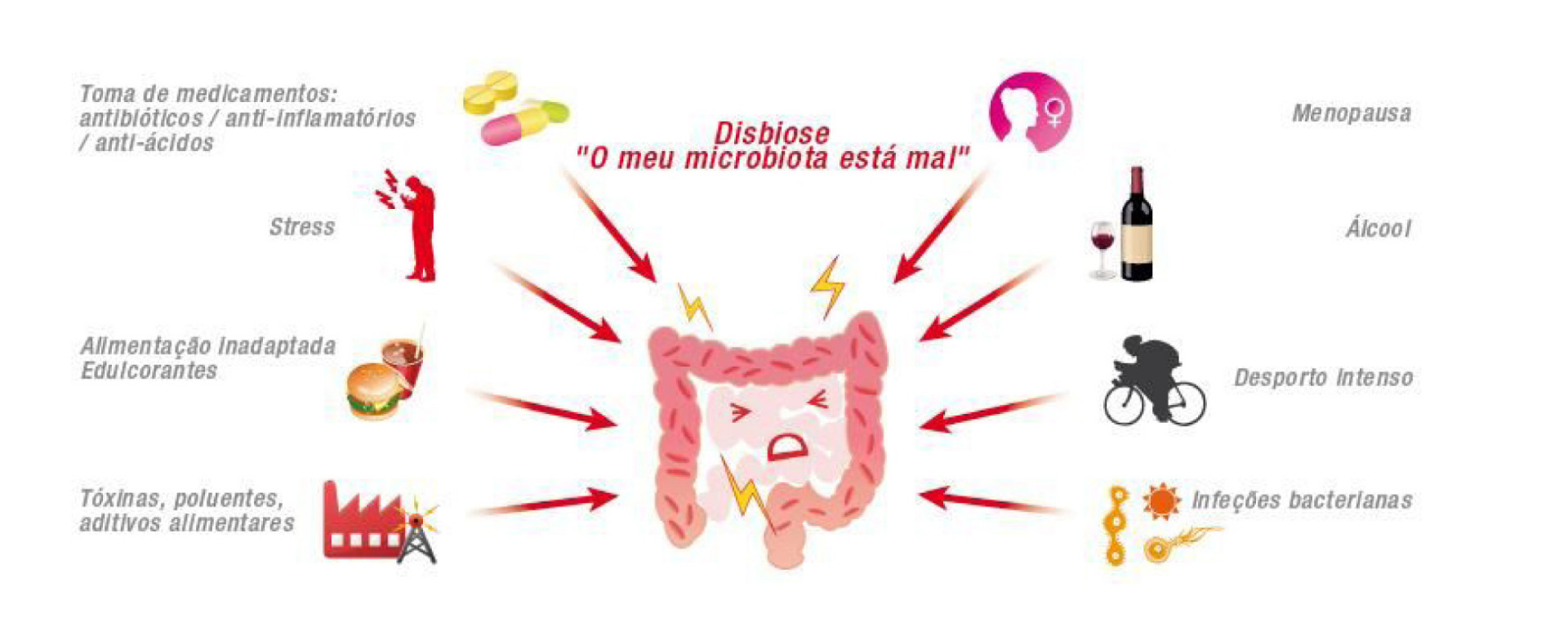 imagem do Google