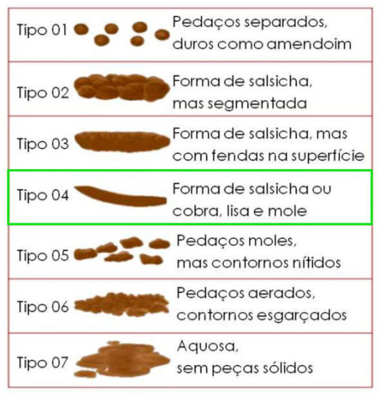 imagem Google