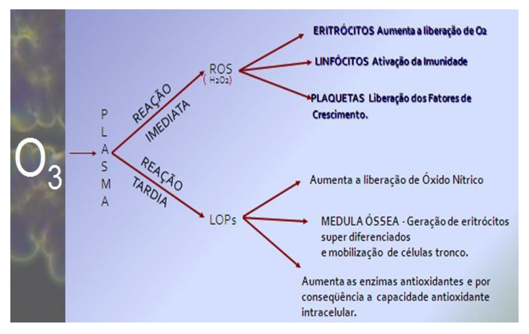 imagem Google