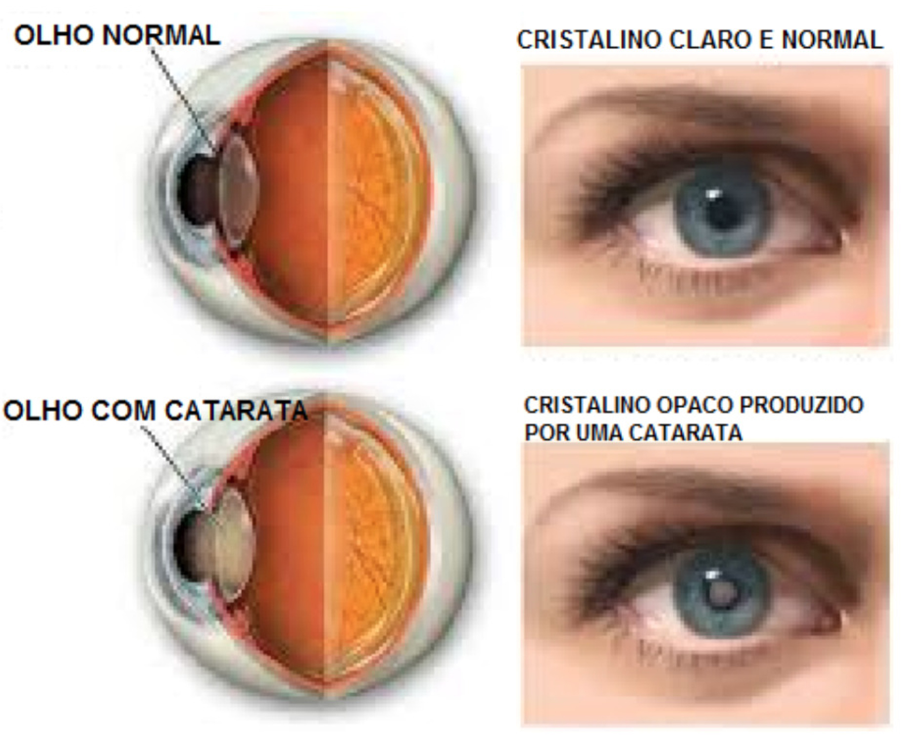 imagem Google