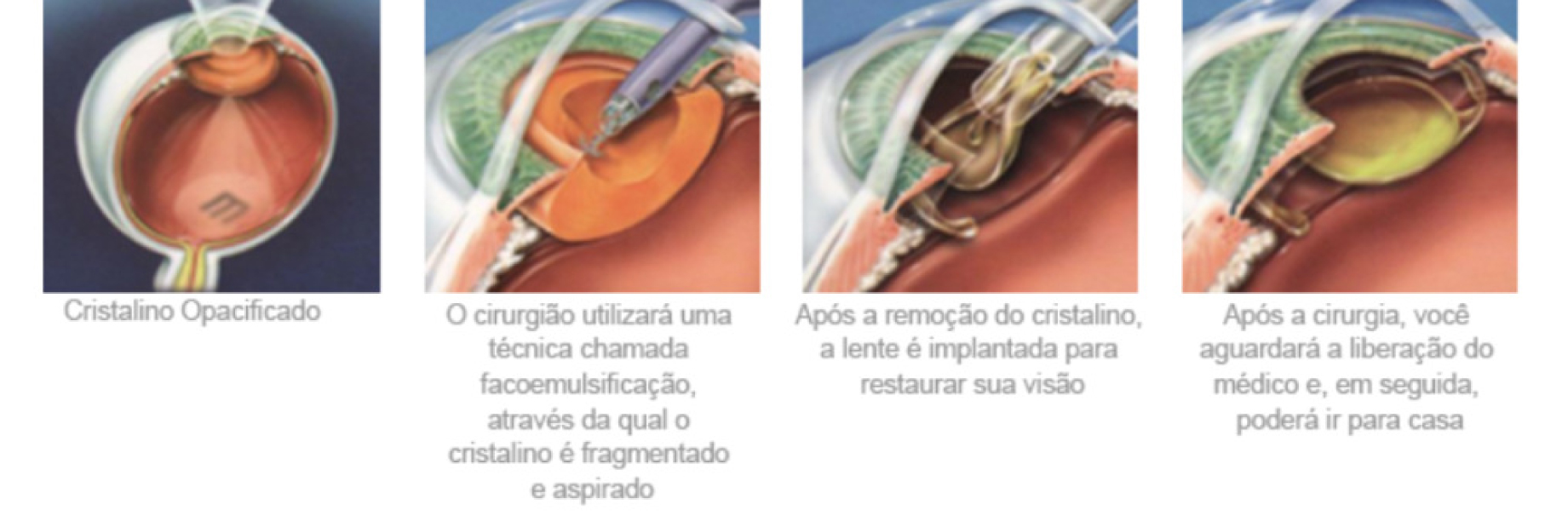 imagem Google